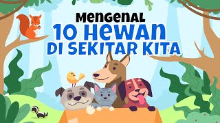 Mengenal 10 Hewan Di Sekitar Kita [upl. by Ennaeerb246]