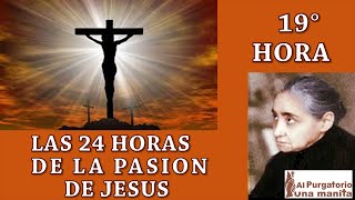 DECIMO NOVENA 19 HORA DE LAS 24 HORAS DE LA PASION DE JESUS SALEN MUCAS ALMAS DEL PURGATORIO [upl. by Emmeram]