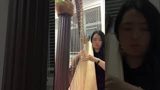 BachGrandjany Etude no1 ABRSM pedal harp grade 8 harp music harps classicalmusic [upl. by Anial]