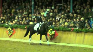 First Flores  Stallion Show Bon Homme amp Kathmann  Vechta 2012 [upl. by Atwekk610]