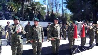 Penachos Rojos  Banda Instrumental del Regimiento N° 8 Tucapel de Temuco [upl. by Garv]