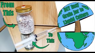 How to Make Mushroom Liquid Culture From Grain Spawn [upl. by Darach]