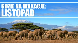 Gdzie na wakacje listopad  Travelplanetpl [upl. by Novyaj]