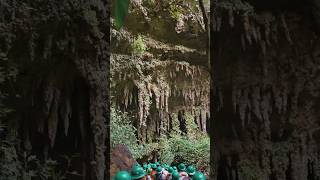 CAVE ADVENTURE  cavernas de camuy 🇵🇷 Puerto Rico shorts travel adventure [upl. by Covell224]