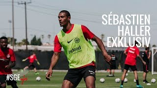 Sébastien Haller im Interview  Eintracht Frankfurt  USA [upl. by Adnovaj493]