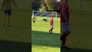 Cal Petch GOAL vs Bramham ⚽️ sundayleague soccerball soccer sundayleaguetv sportsball [upl. by Arriek]