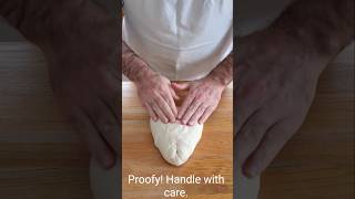 Shaping Proofy Sourdough by Cinching [upl. by Boulanger]