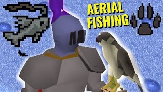 🦅🐟🎣 NEW AERIAL FISHING 🎣🐟🦅 XP Rates amp Quick Guide [upl. by Iramat648]