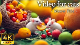 Relaxing Mouse Adventures for Your Cat 🐭 Cute White Mice in Nature for Curious Cats 🐱 Meow Flix [upl. by Arok]