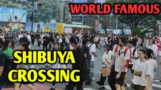 Amazing Shibuya Crossing  Tokyo  Japan Series 2023 [upl. by Nalim702]