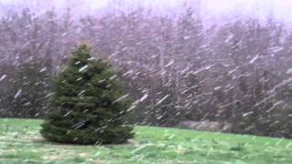 Giant snowflakes fall in the front yard on 27Mar11 [upl. by Humphrey]