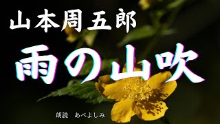 【朗読】山本周五郎「雨の山吹 」 朗読・あべよしみ [upl. by Evey121]