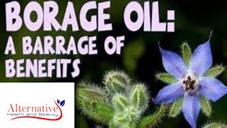 Gamma Linoleic Acid GLA in Borage Oil and Evening Primrose Oil Video [upl. by Emmeram]