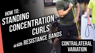 How to do Standing Concentration Curls Contralateral Variation Best Resistance Bands Exercises [upl. by Rasia]