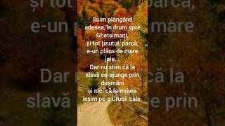 Poezie Traian Dorz  Suim plangand adesea poeziicrestine [upl. by Roosevelt706]