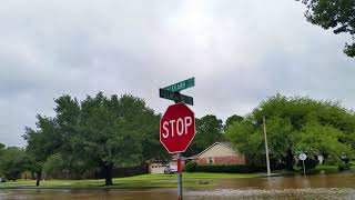 Hurricane Harvey Friendswood Texas 3 Walking Around [upl. by Poppy566]