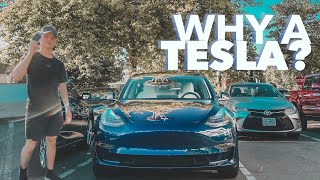 HOW amp WHY I BOUGHT A TESLA dont pay full price [upl. by Atinwahs458]