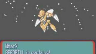 pokemon hack Beedrill evolves intowtf oO [upl. by Sibyls603]