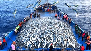 How to catch hundreds of tons of giant cod how fishermen catch cod with long lines on modern ships [upl. by Iturhs287]