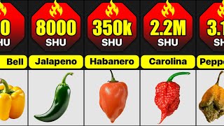 Hottest Peppers In The World  Comparison What Are The Spiciest Peppers In The World [upl. by Akino]