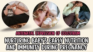 Antenatal Expression of Colostrum Nurturing Babys Early Nutrition and Immunity during Pregnancy [upl. by Eicyak395]