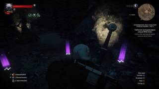 The Witcher 3 Wild Hunt  Part 177  Legendary Superior Wolven Silver Sword Location [upl. by Julis]