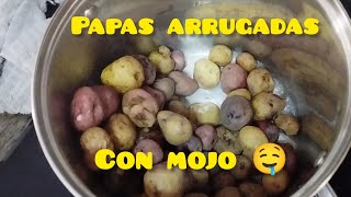 ¡¡ PAPAS ARRUGADAS CON MOJO  canaricultura canarias timbrados grancanaria aviario tenerife [upl. by Mccully944]