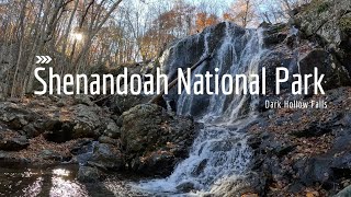 Fall beauty of Shenandoah  Dark Hollow Falls nature hiking fall [upl. by Esilram]