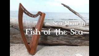 Fish of the Sea on Celtic Folk Harp [upl. by Jezrdna114]