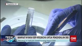 Lindungi Keluarga dari DBD dengan Teknologi Wolbachia [upl. by Eremehc]