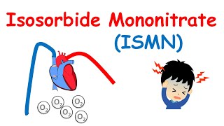 Isosorbide Mononitrate  Mechanism precautions side effects amp uses [upl. by Jeremie]