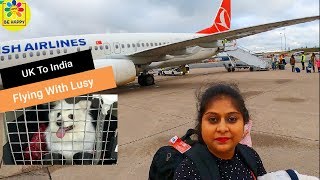 Flying Back To India From UK With My Pet Dog Lusy  Transit In The Worlds BIGGEST Airport  Vlog [upl. by Baoj]