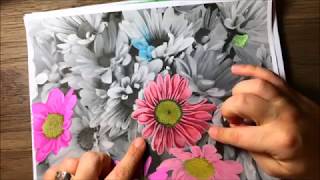 How to Color Greyscale Coloring Pages [upl. by Nihsfa]