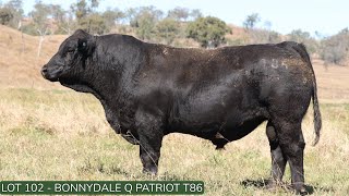 Lot102 Bonnydale Q T86 [upl. by Esilrahc]