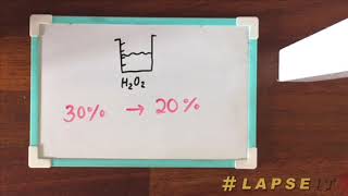 Decomposition of Hydrogen Peroxide [upl. by Anhej]