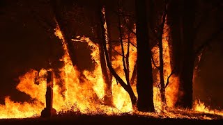 Australia to experience increased risk of bushfires in spring [upl. by Atteloc833]