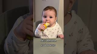 baby babylife cutebaby babyshorts babyledweaning babyeating babyfood funnybaby mom [upl. by Lemuela]