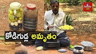 Kodigudla Amrutham Egg Amino Acid Preparation  Natural Farming  hmtv Agri [upl. by Norven]