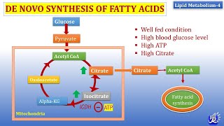 4 De Novo synthesis of Fatty acid  Lipid metabolism4  Biochemistry  NJOY Biochemistry [upl. by Domel]