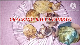 CRACK BALUT🥚🦆EGG EMBRYO EXOTIC FOOD EGGBALUT [upl. by Celinda]