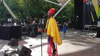 Vimbai ZimutoJari mukaranga The hague africa festival 2019 [upl. by Llerrehc494]