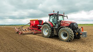 Case Puma 260 CVX  Vaderstad Spirit 600s  Sowing Winter Barley [upl. by Rusel]