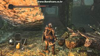 Dark Souls 2  All Estus Flask Shard Locations [upl. by Lorak]