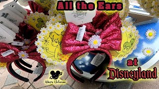 Ears at Disneyland [upl. by Elleinwad735]