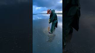 Razor Clam Digging [upl. by Nedra118]