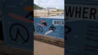 SURF SNOWDONIA [upl. by Ori]