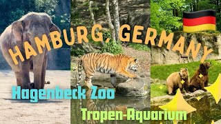 Germany 🇩🇪  Hamburg  Hagenbeck Zoo ❤️ hamburg germany travelguide peace zoo animallove [upl. by Chatterjee782]