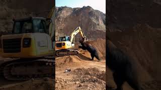 Excavator operator never forget this Day youtubeshorts shorts shortvideos excavator bear [upl. by Laaspere]