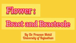 FLOWER BRACT AND BRACTEOLE  By Dr Praveen Mohil  UOR [upl. by Nepsa181]