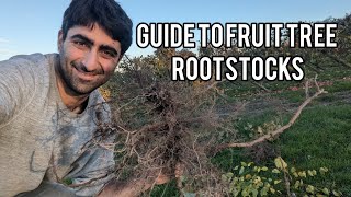 Keepers Nursery rootstock information My guide to choosing between the best apple pear and plum rs [upl. by Woolson445]